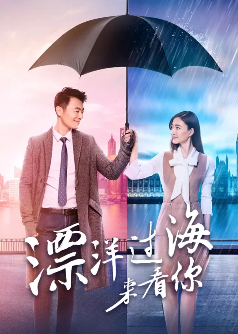 漂洋过海来看你电视剧海报