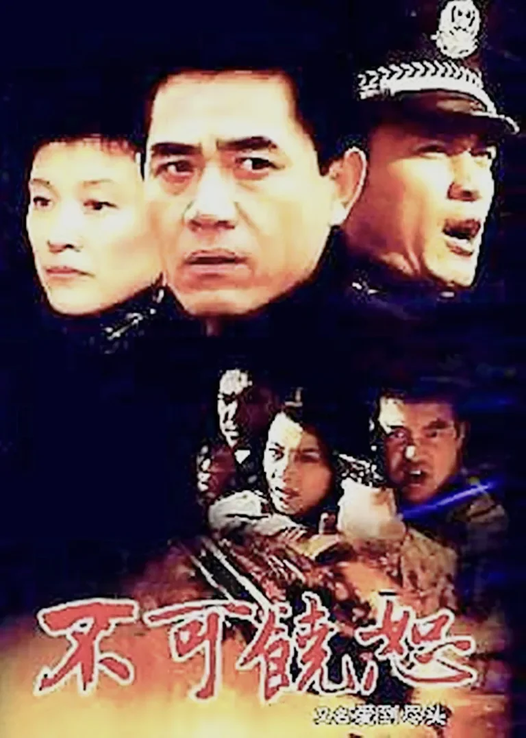 不可饶恕电视剧海报