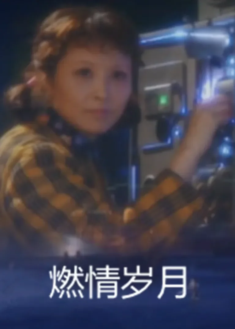 燃情岁月电视剧海报
