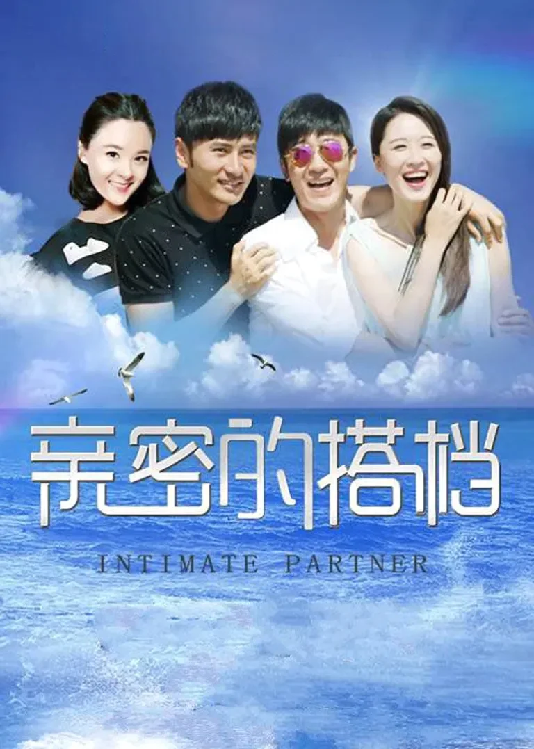 亲密的搭档电视剧海报