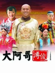 双面人生电视剧海报
