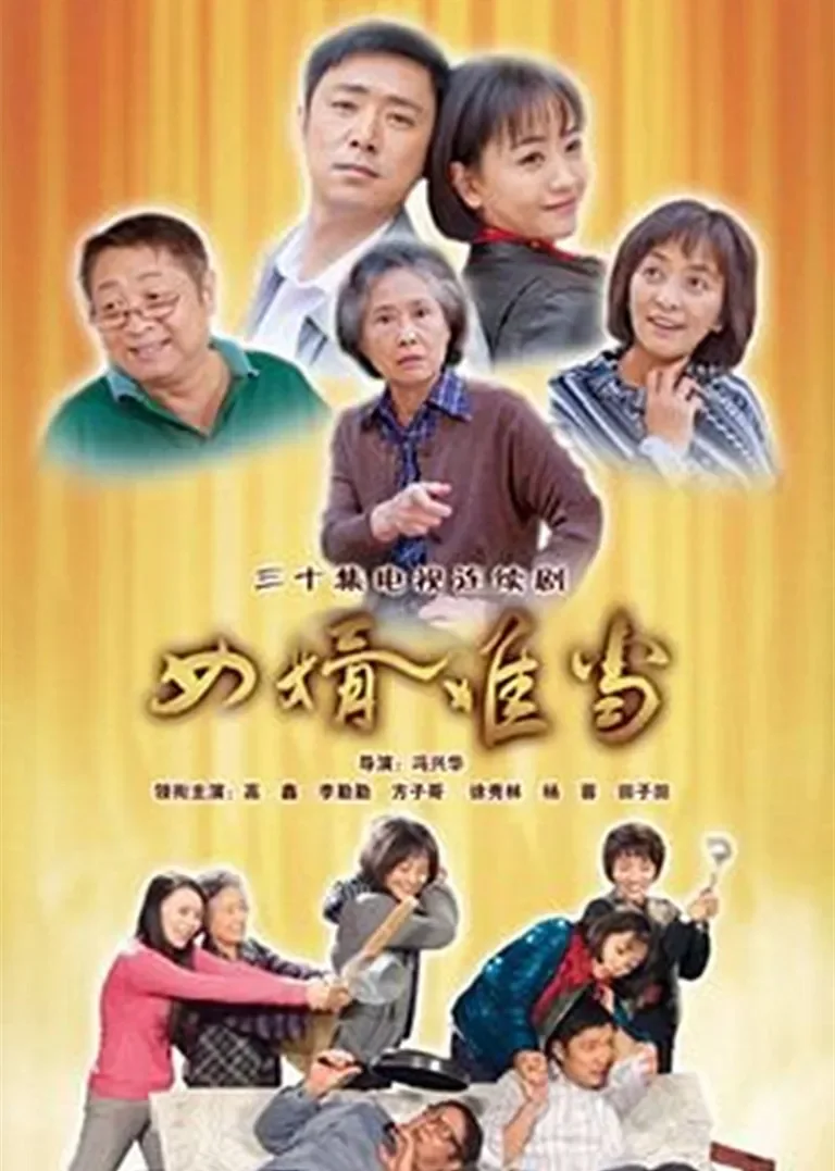 女婿难当电视剧海报