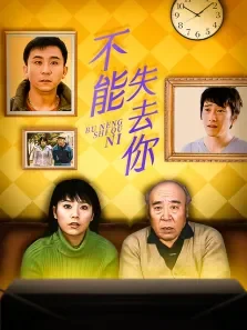不能失去你电视剧海报