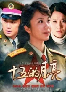 十五的月亮电视剧海报