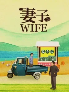 妻子电视剧海报