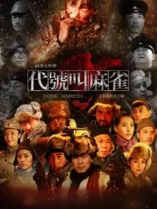 代号叫麻雀电视剧海报