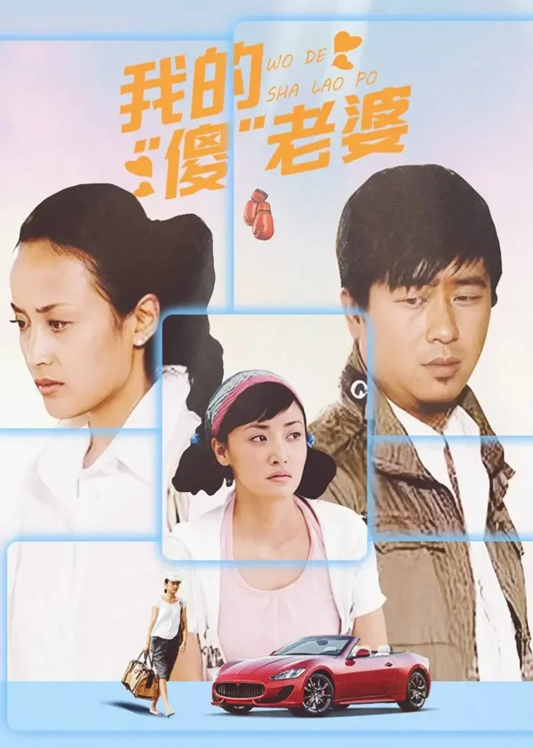 我的傻瓜老婆电视剧海报