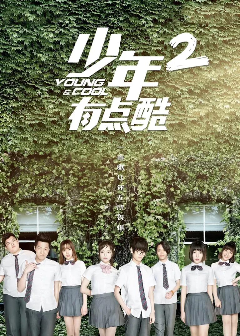 少年有点酷2电视剧海报