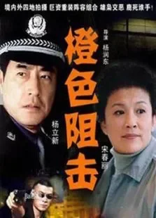 橙色阻击电视剧海报