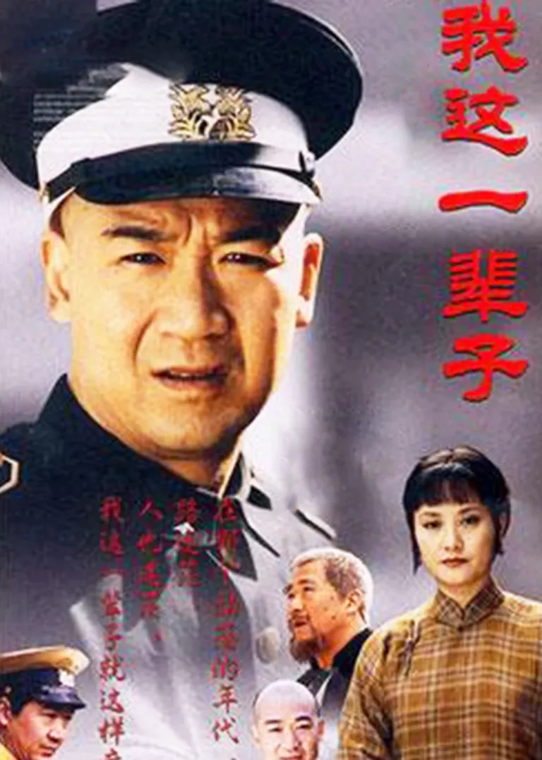 我这一辈子电视剧海报