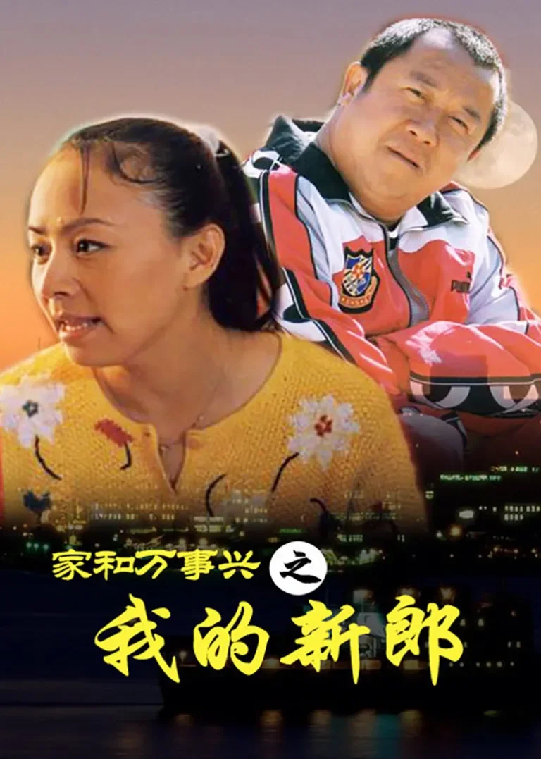 家和万事兴之我的新郎电视剧海报
