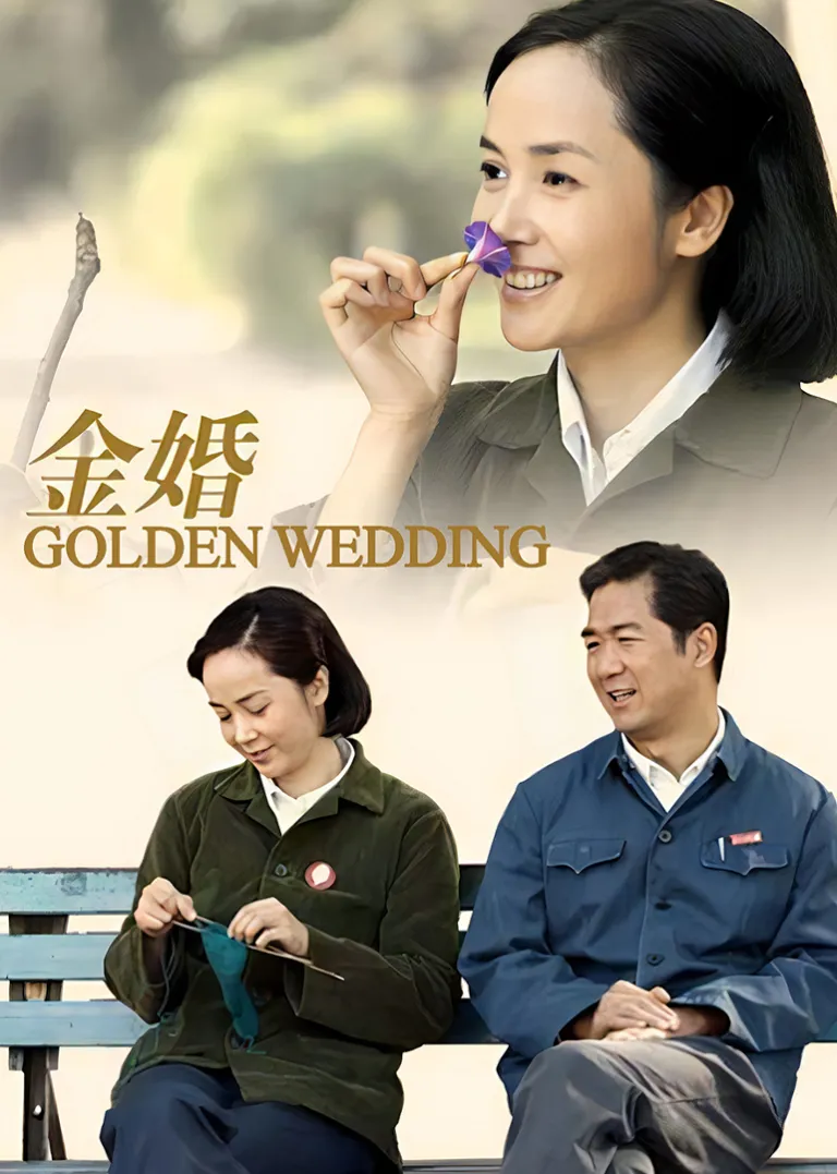 金婚电视剧海报