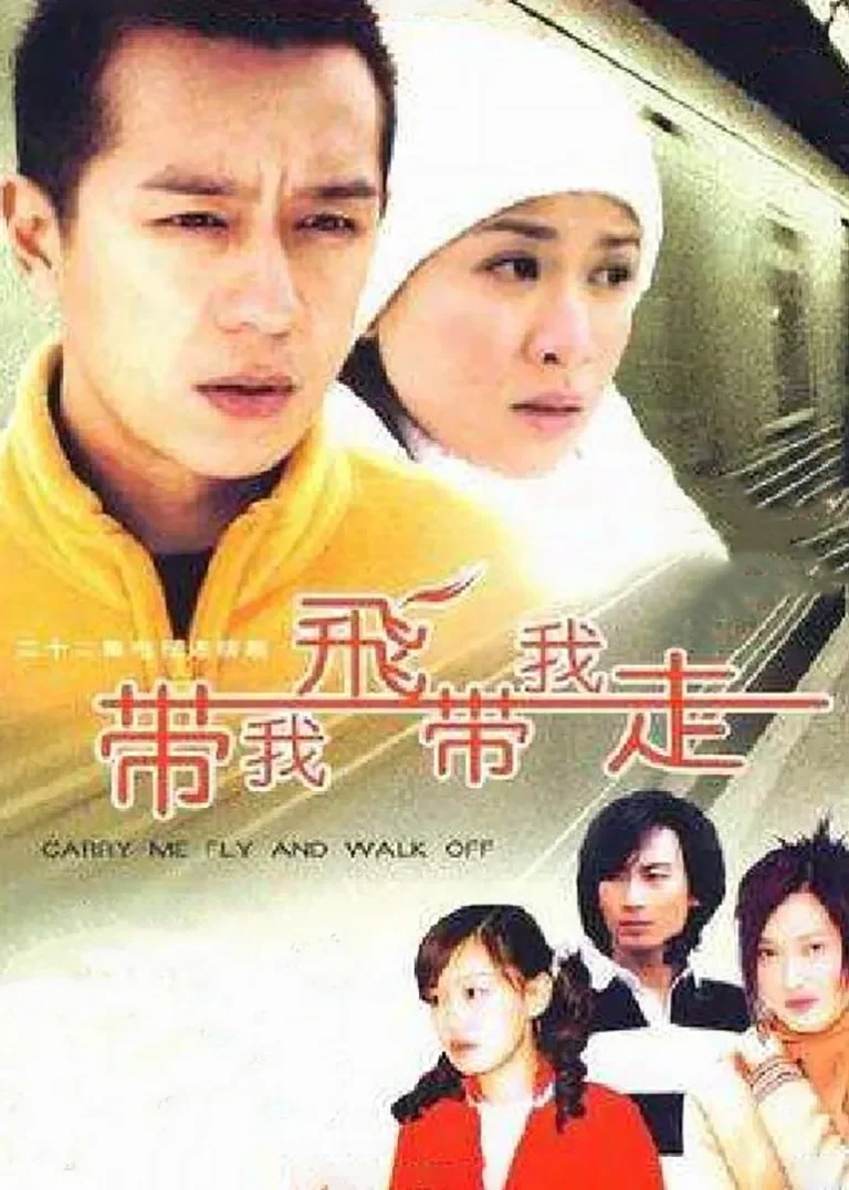 带我飞带我走电视剧海报