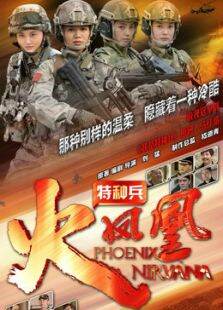 特种兵之火凤凰精简版