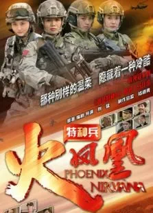 特种兵之火凤凰精简版电视剧海报