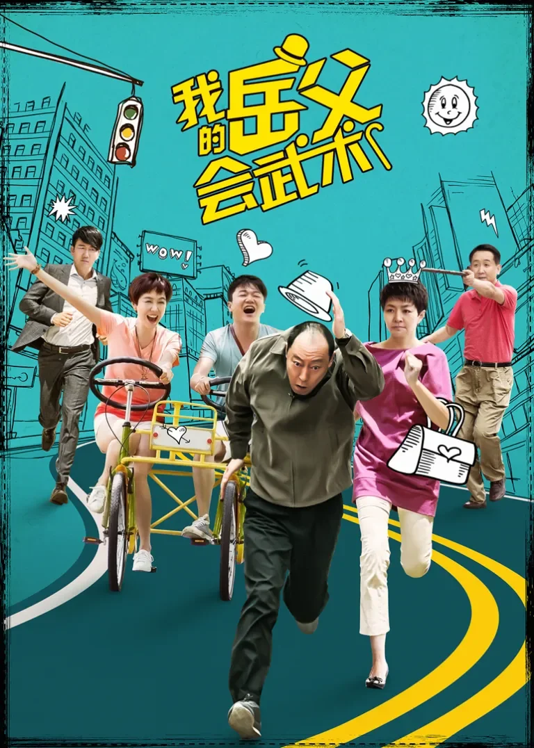 我的岳父会武术电视剧海报