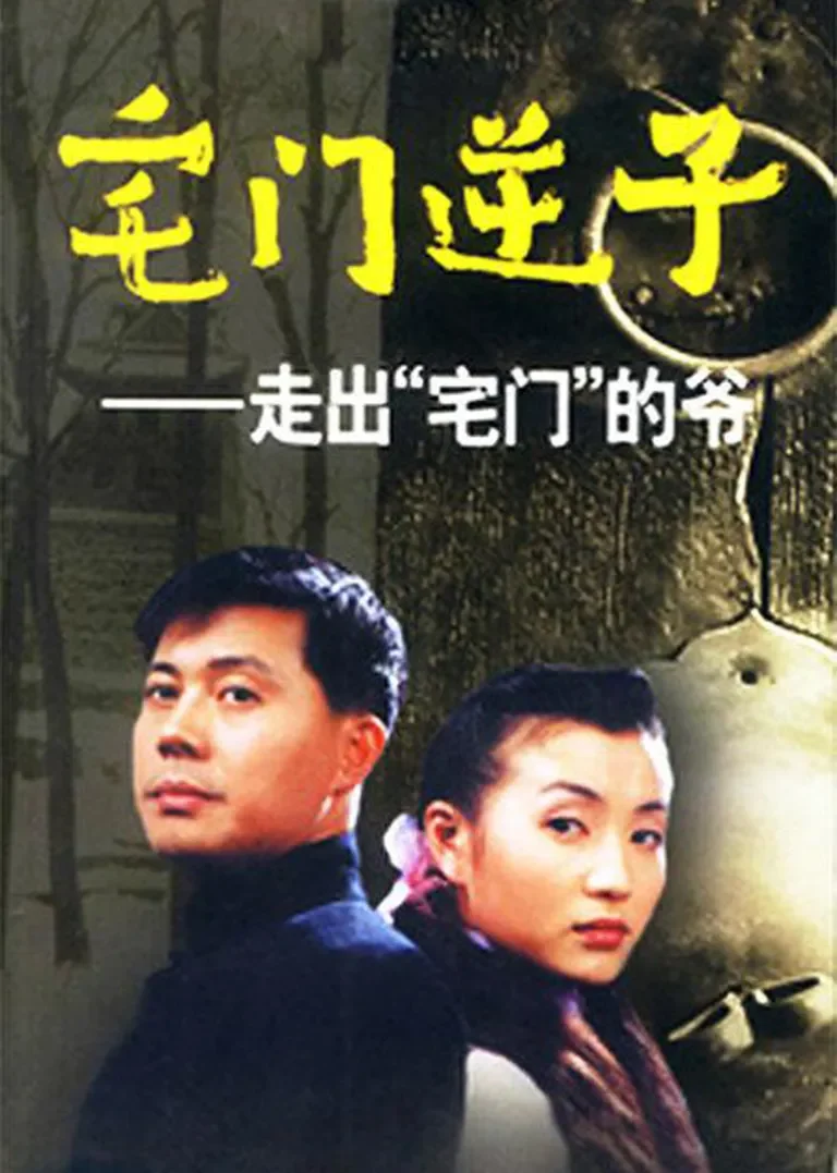 宅门逆子电视剧海报