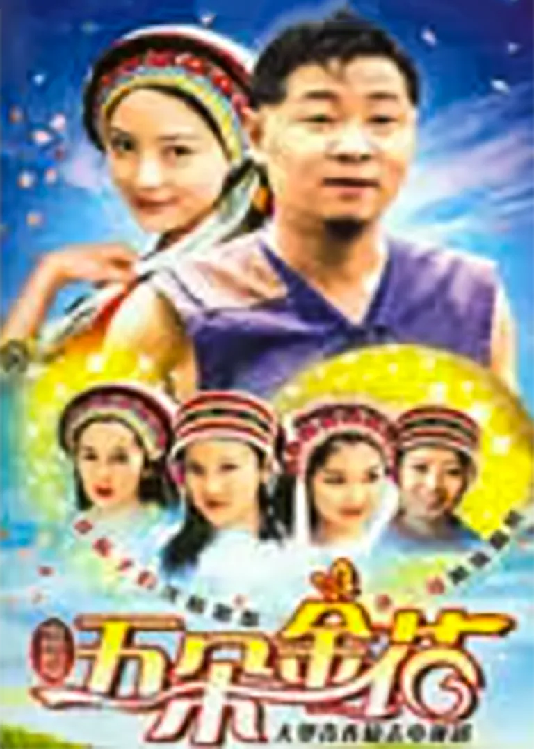 花二哥与六朵金花电视剧海报