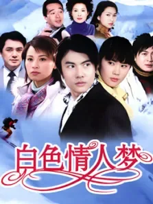 白色情人梦电视剧海报
