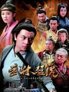 武林猛虎电视剧海报