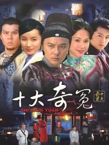 十大奇冤电视剧海报
