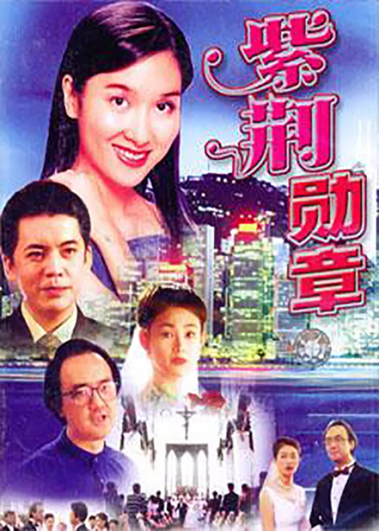 紫荆勋章电视剧海报