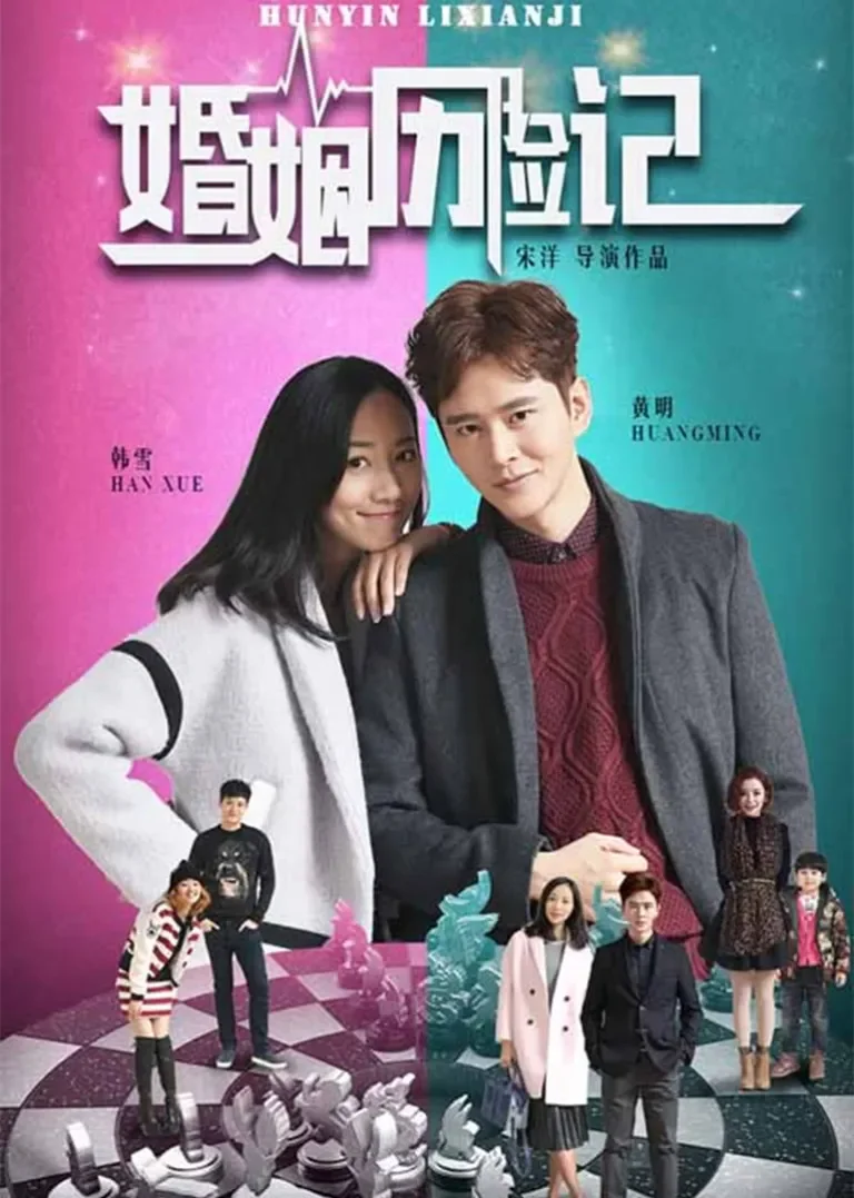 婚姻历险记电视剧海报
