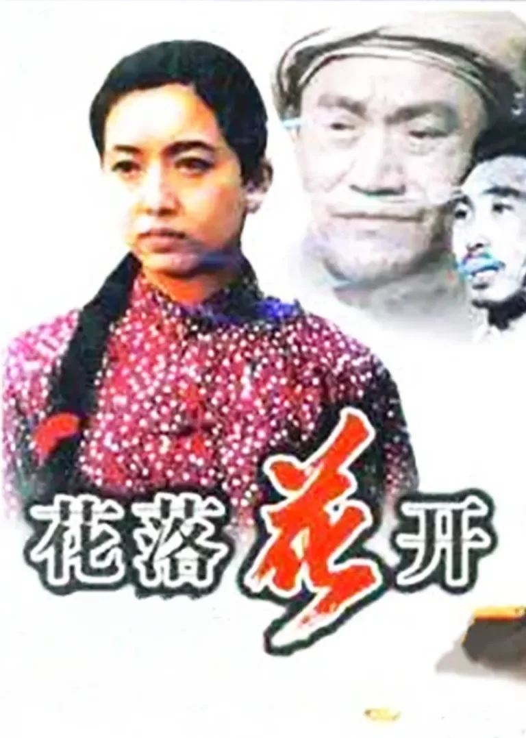 花落花开电视剧海报