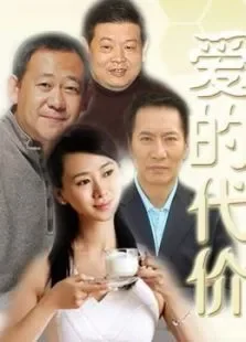 爱的代价电视剧海报