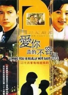 爱你真的不容易电视剧海报
