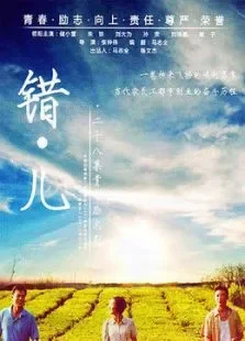 美丽错儿电视剧海报