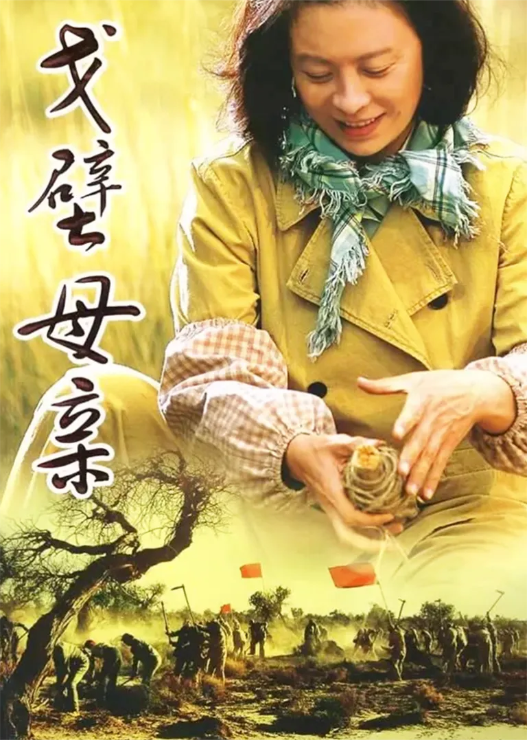 戈壁母亲电视剧海报