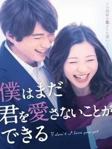 我可能不会爱你（日本版）电视剧海报