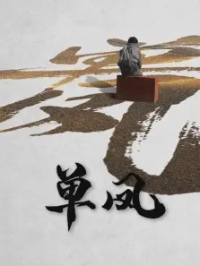 单凤电视剧海报