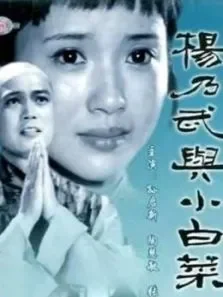 杨乃武与小白菜电视剧海报