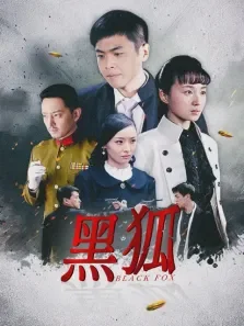 黑狐电视剧海报