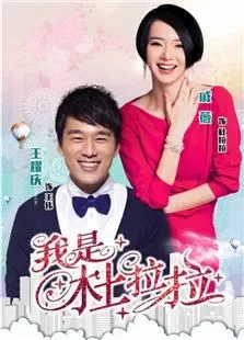 我是杜拉拉电视剧海报