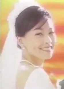 太阳花电视剧海报