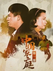 中国家庭第一部电视剧海报