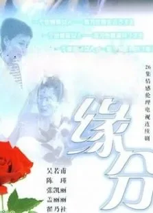 缘分的天空电视剧海报