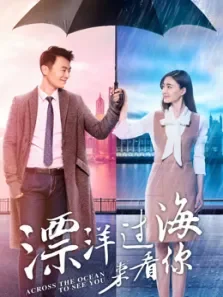 漂洋过海来看你DVD版电视剧海报