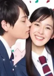 一吻定情LoveinTokyo电视剧海报