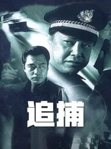 追捕（2003）电视剧海报