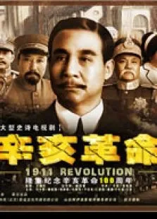 辛亥革命电视剧海报