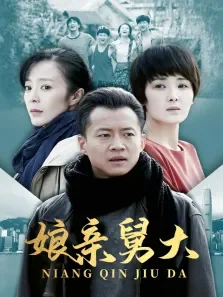 娘亲舅大电视剧海报
