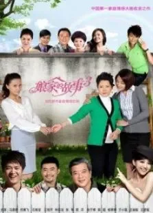 娘家的故事第三部电视剧海报