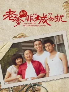老爹的非“城”勿扰电视剧海报