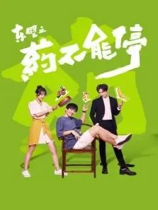 东璧之药不能停电视剧海报
