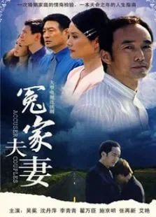 冤家夫妻电视剧海报