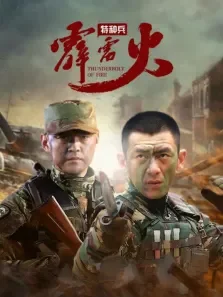 我是特种兵之霹雳火电视剧海报